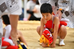 【茨城祭典】流传近350年的胜负「延方相扑祭」