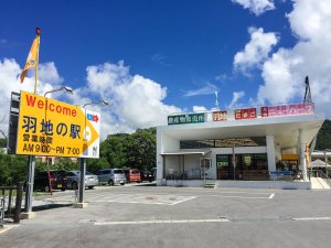 【冲绳美食】古宇利岛附近的药草天妇罗「羽地休息站」