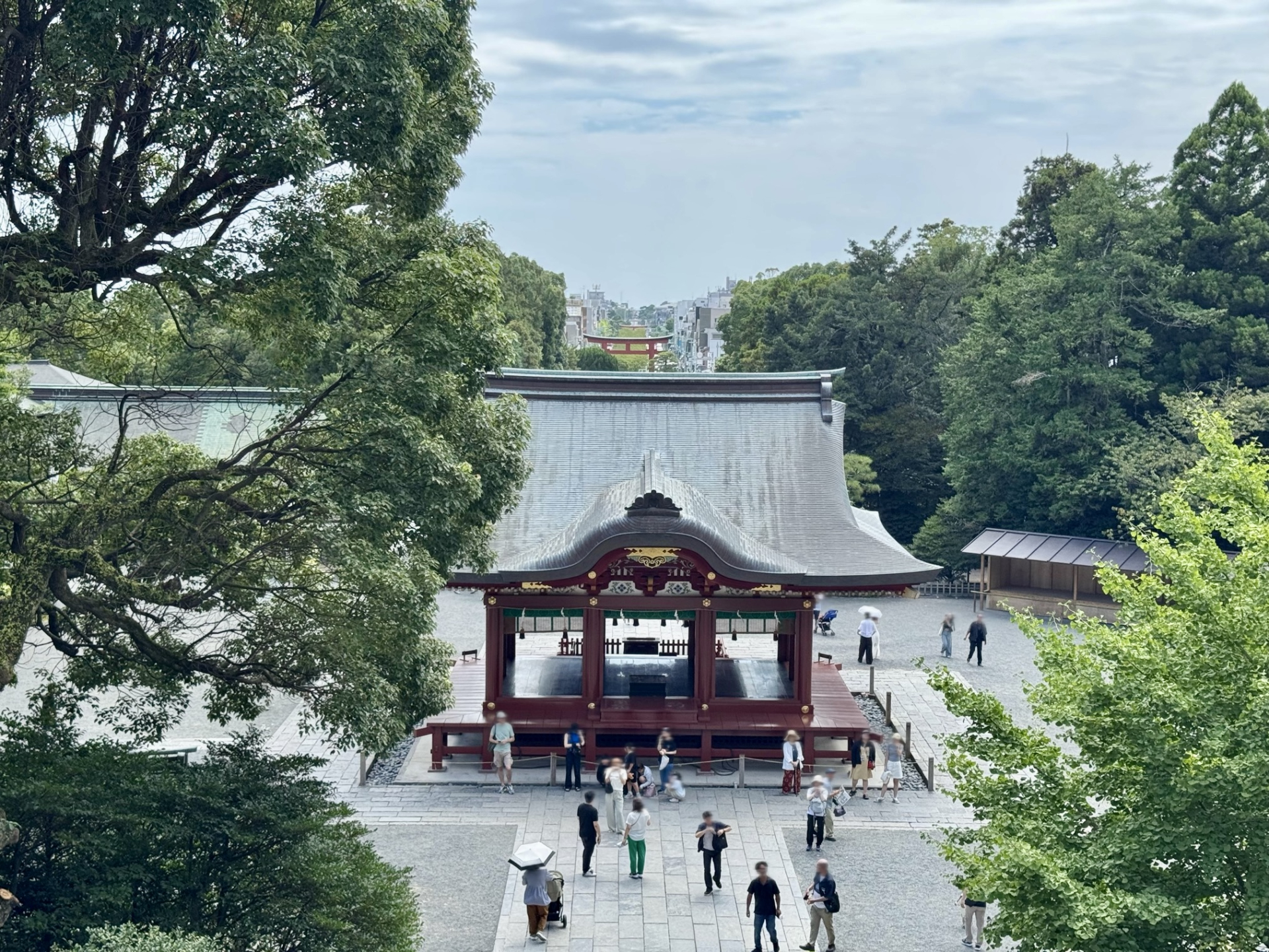 從高處眺望鎌倉鶴岡八幡宮舞殿與參道旁樹木